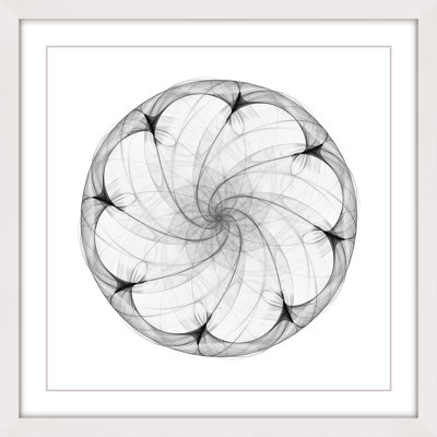 " Flower Contained " by Marmont Hill
