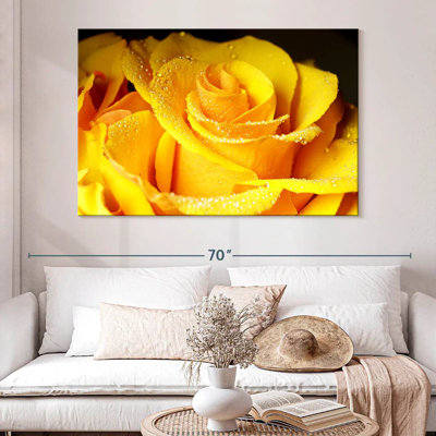 Rose jaune Harnek Dewy