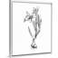 «Bloom Sketches I» par The Novogratz, reproduction d'art sur toile-47445118-47445119