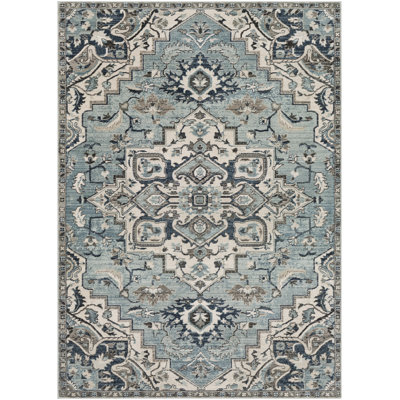 Minneapolis Machine Woven Polypropylene Oriental Area Rug