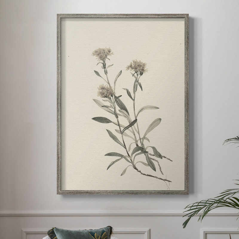 Impression florale vintage encadrée CXCIX - bois massif, H 11 po x l 9 po