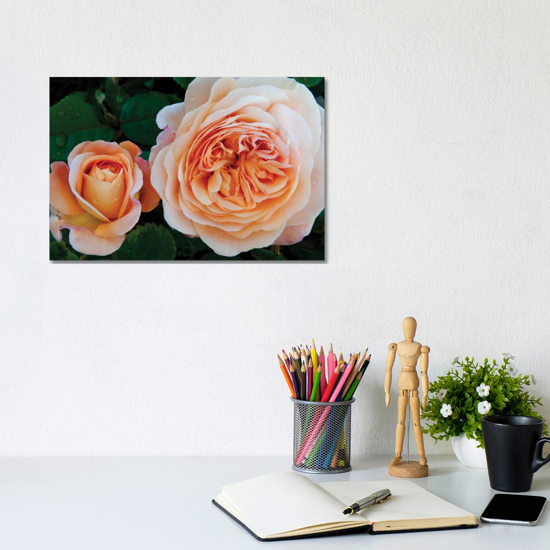 Unique by Panoramic Images - Wrapped Canvas Print