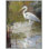 Birds Framed Canvas
