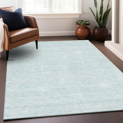Machine Washable Indoor/Outdoor Chayden ACN1058 Rug