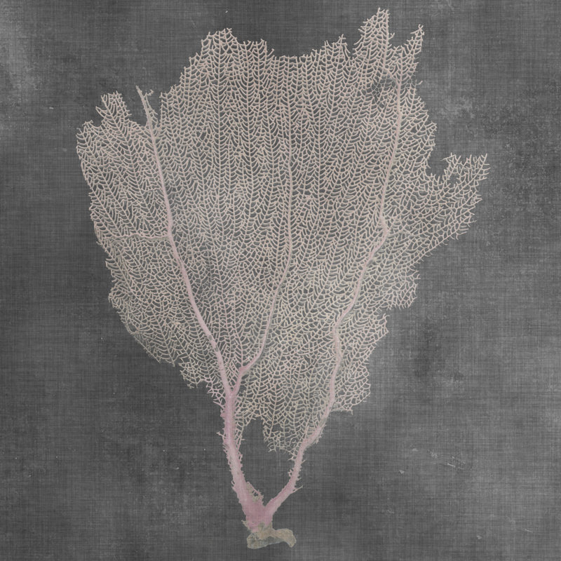 Natural Sea Fan I by Vision Studio - Wrapped Canvas Print, 30cm H x 30cm W