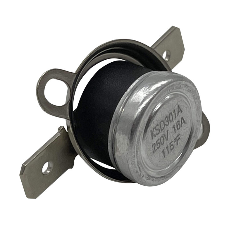 Whole Parts Thermostat