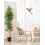 16" Bianca Direcional 3 Blade Ceiling Fan-450705424-450705417-450705411