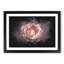 Pink Tipped Rose Flower - Picture Frame Graphic Art Print-56861648-56861653