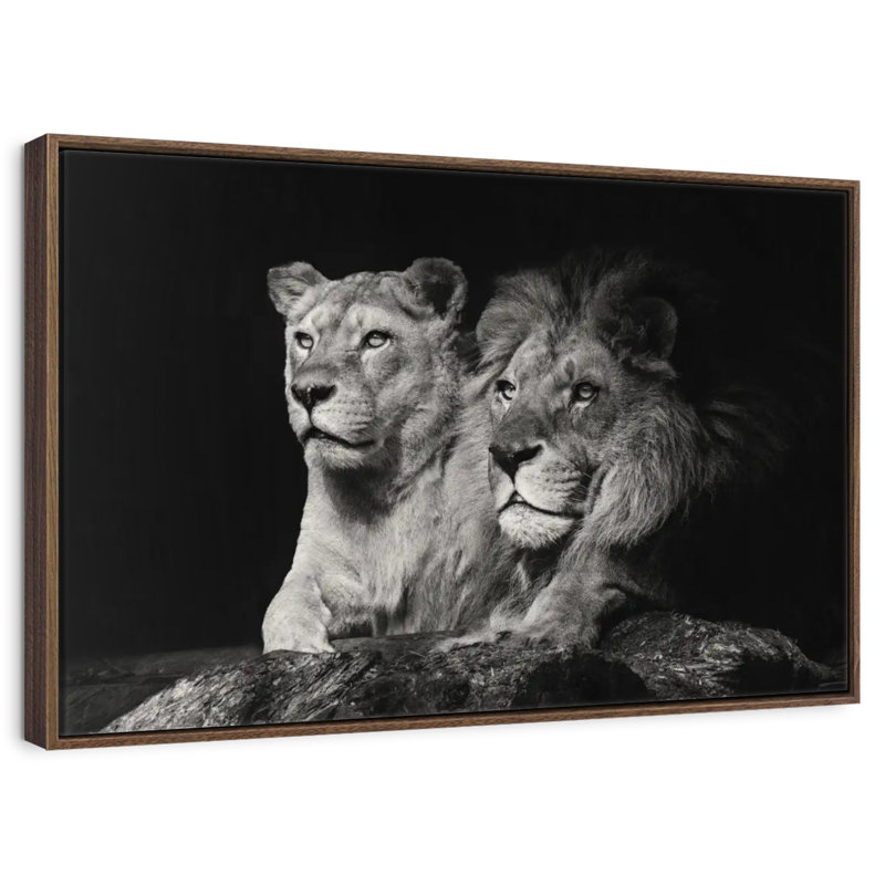 Lion et compagnons de lionne, 37 po x 25 po, Cadre flottant en noyer