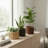 Round Strata Planter MD-25478581-25478577