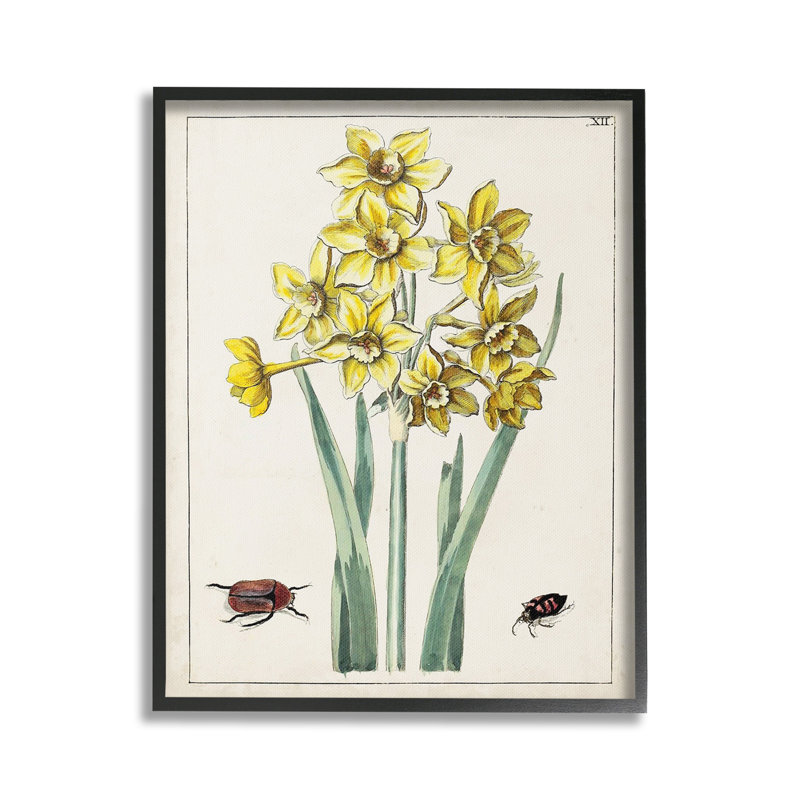 Coléoptères avec jonquilles, H 20 po x l 16 po, Giclée encadrée noir minuit