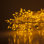 8' LED Fairy Light Garland String Lights