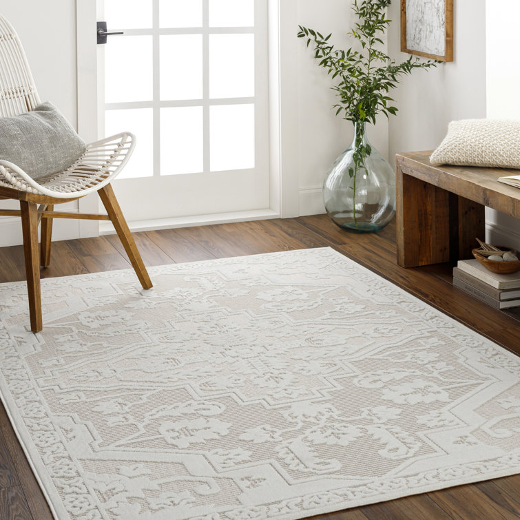 Oriental Indoor / Outdoor Rug