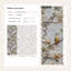 Papier peint floral, oiseaux, décoration murale rétro