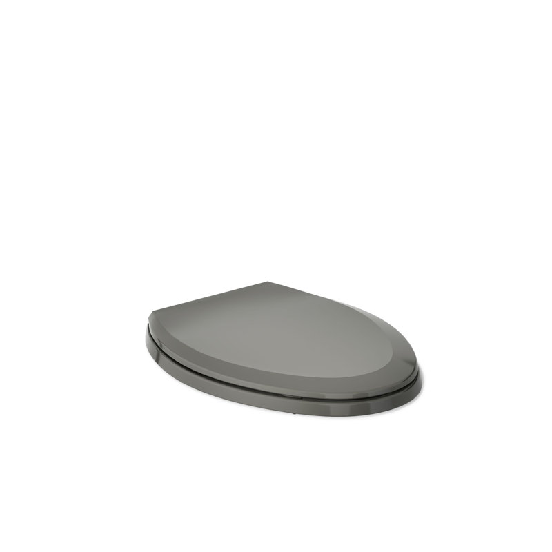 Lustra with Quick-Release Hinges Toilet Seat, Thunder Gray, Elongated