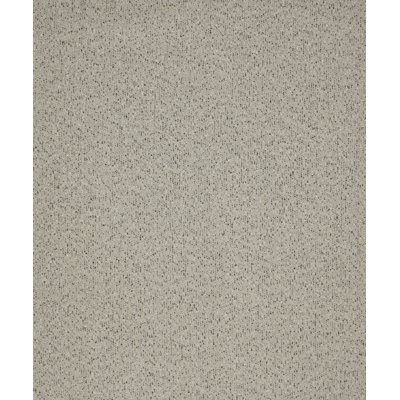 Modish Fabric