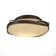 Flora 2 - Light 13.9" Flush Mount