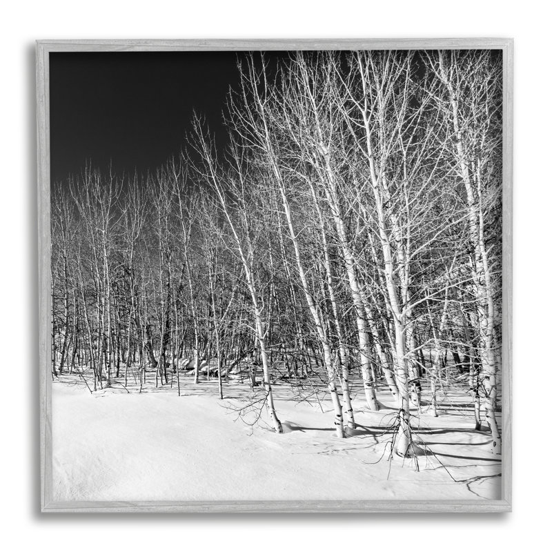 Mystérieuse forêt enneigée imminente, art texturé de bouleau nocturne par Steve Smith, H 12 po x l 12 po x P 1,5 po