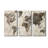 " Terra Nova " 3 - Pieces-1248285713