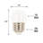 1 W E26/Medium (Standard) 2700 K LED Bulb