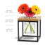 Ensemble d'appliques murales en verre 3 pièces-71848943