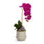 Orchid in Container with Amethyst