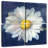 Harnek Boldest Bloom II Dark Blue-109111691
