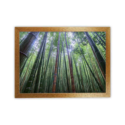 Tall 1 Piece Wall Art on Canvas