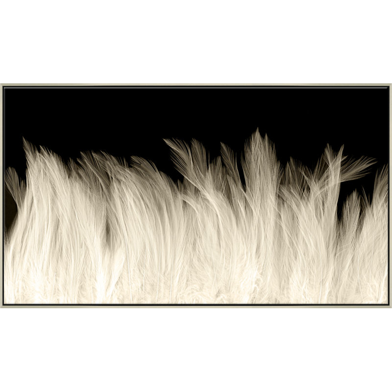 Beach Feathers Giclee On Canvas, 21.5" H x 37.5" W x 2.63" D