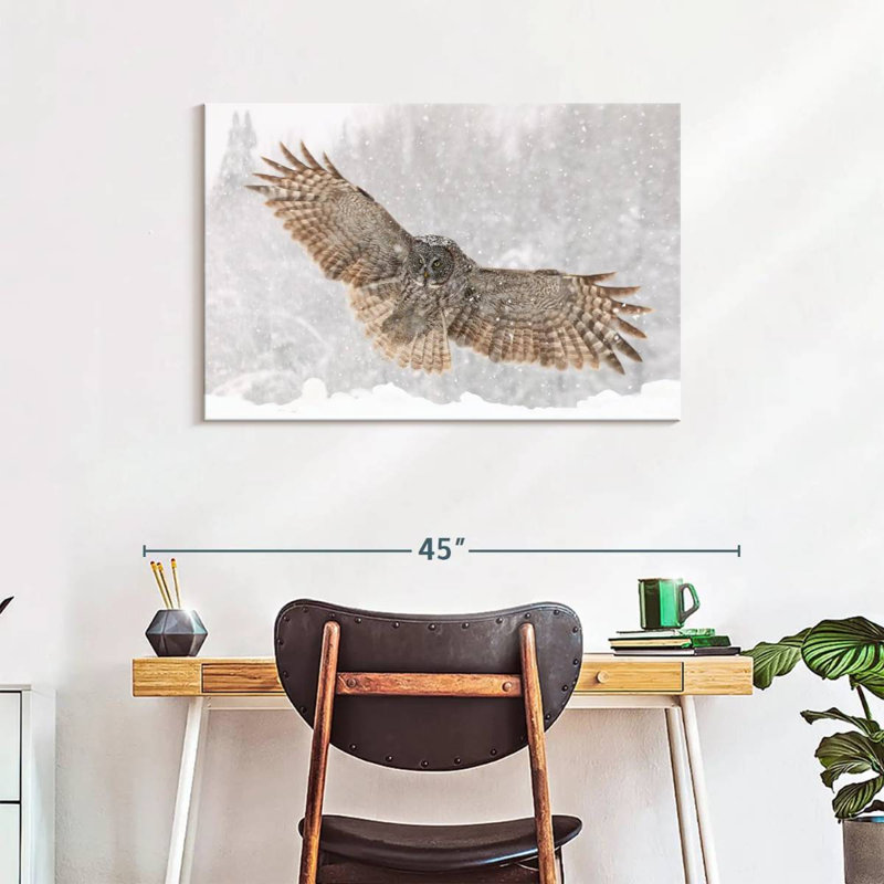 Brampt Blizzard Owl, 24" H x 36" W
