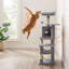 Arbre à chat à niveaux multiples 44,1 pouces-1454427701