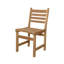 Eunice Outdoor Teak Dining Side Chair