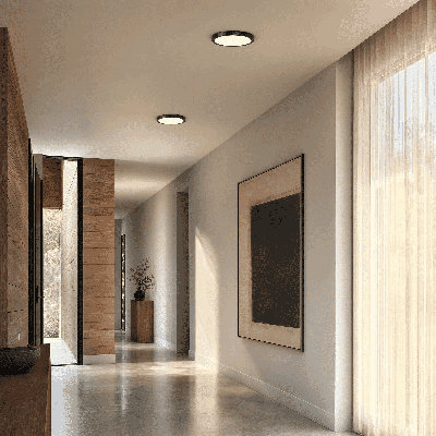 Raed LED Flush Mount in Black