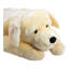 Coussin Labrador Retriever