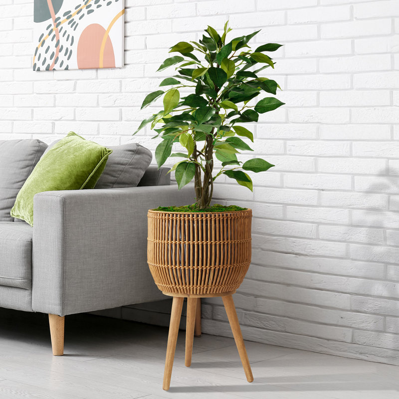 Jardinière d'intérieur avec support, grand panier en rotin pour plantes et fleurs avec pieds en bois, naturel, Naturel