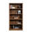 Alexsia Standard Bookcase-1345507357-1436292308