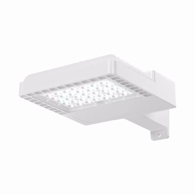 Harmanie 100-Watt LED Dusk to Dawn Outdoor Security Area Light
