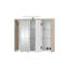 Calvin-Leigh Mirror Cabinet with LED Lighting-1707001969