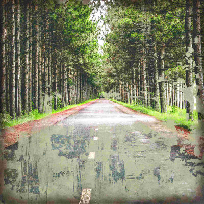 " Scenic Road "