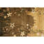 Floral Area Rug in Brown