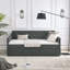 Lit de jour simple avec lit gigogne simple-338228349