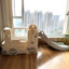 Iuti Zoomie Kids Indoor Slide