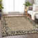 Machine Washable Indoor/Outdoor Claudian ACN1230 Gold Rug