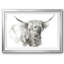 «Soft Focus Highland Bétail I», impression sur papier-1342573017-1342573019