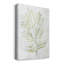 Breezy Fronds III - impression sur toile tendue-1826293785