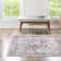 Nienke Oriental Indoor Rug