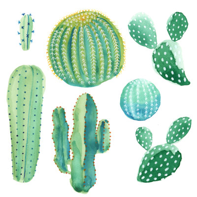 Watercolor Cactus Set by Giraphics - Wrapped Canvas Print