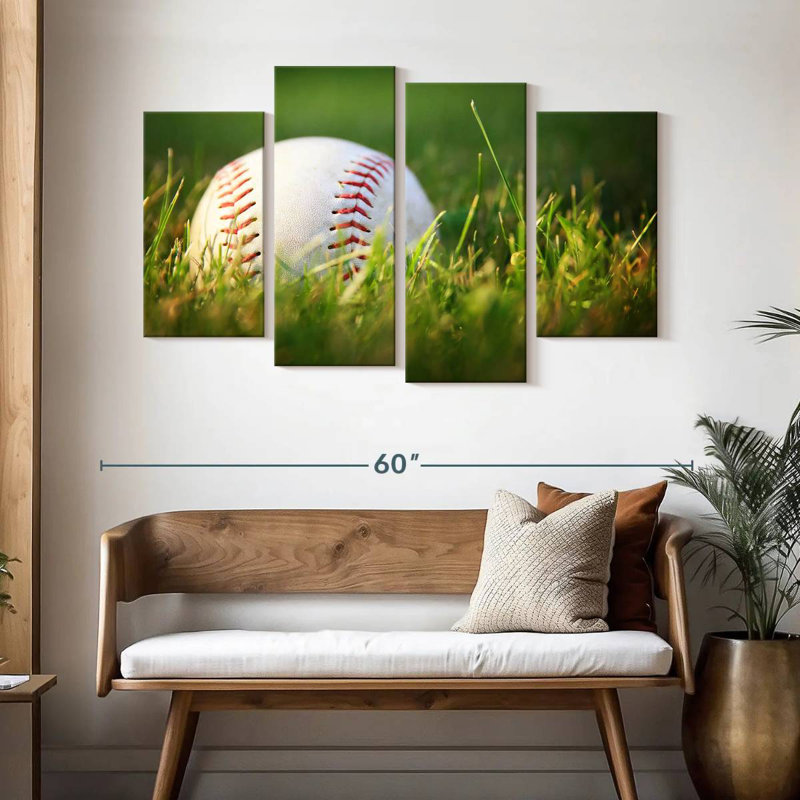 Ground baseball Sireci