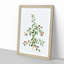 Goji Berry Tree Flowers by Pierre-Joseph Redoute - Picture Frame Painting Print-55608405-55608407