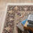 Oriental Indoor Rug-787515693